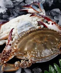 ���۸��᡿���쿪���ˣ��������ʲô��