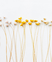 ���ǵĳ�200��������ܼ����������430�����ʲôˮƽ��