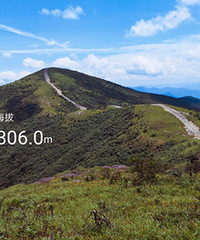 ���ŷ�������������