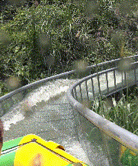 ̨�ݲ���ջ�������ȳ���������żҽ粣���Ų���