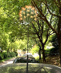 ��������װ�������򣬺��Ǳ���