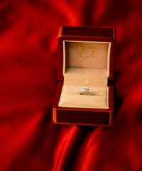 ����/׹��/��ָ������¥