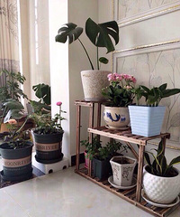 ʵľ����20Ԫ