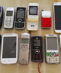 �Ҽҵ���ү�������СС��ʮ��ֻ