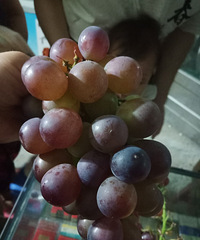 6԰һ������ѣ��ǳ��óԣ�����