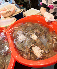 ������������˷���һҹ��һ����ȥ���г���ȴ������