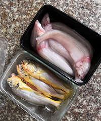 ������������˷���һҹ��һ����ȥ���г���ȴ������