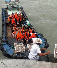 ��ѽ��һ����������