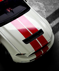 ��λ�������������˵˵���������Լ۱ȸ߲���