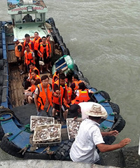 ��ѽ��һ����������