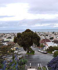 ����Ҫ�����Ҫ�桱���Ͼ�С���������ô��?