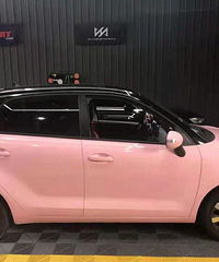 �������ֲݡ���������ɫĤ�����Ҽҵ�С��Ѽ���ɹ���ɰ����