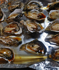 �������ؿ����