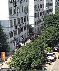 �����ϡ���Һ�����и�С���Ӵ�¥��ˤ�����ˣ���ĸ���