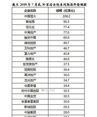 ������ծ��ģ������������