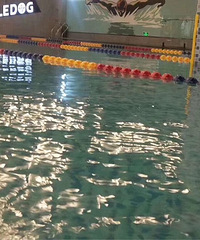 ���۸��᡿��ʿ��ѡ������żʱ����Ȣһ������1���Ůʿ��