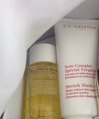 ���ڱر�����ʫ����������װ��˪Ϳ���е�����