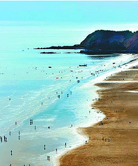 ʢ�ģ�һ��ȥ������Ұ�������ص�ɳ̲������