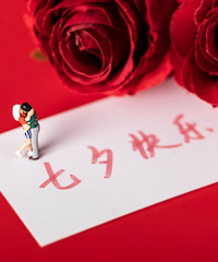 ����Ϧ����TAȥ��֤������������֤����֤����������