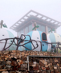 С��������ò���������wanghong��