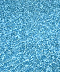 Ӿ�����Ȼ�ﹷϴ�裬���Ǽ���ʲô���ĵ���Ϊ��