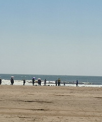 88��GG172���⿪�ʣ�ϣ����158����