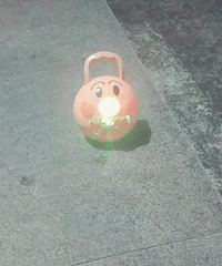 ��Ů�ĵ����ݻ��������Ķ�������