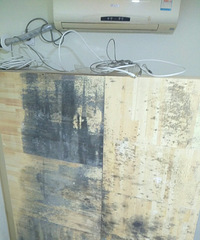 �����������ס����һ�꣬�ղ����ķ�����©ˮ�ˣ�