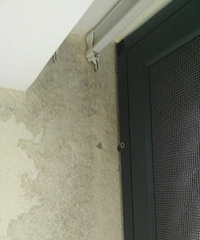 �����������ס����һ�꣬�ղ����ķ�����©ˮ�ˣ�