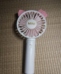 ����Яʽ����