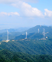 ���ŵ�һ�߷壬��ĸ��糡