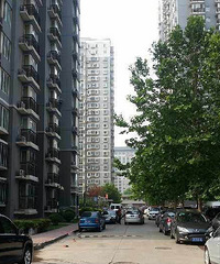 ̨���������ҵĳ�������