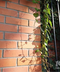 osmo���������רΪVLOG����