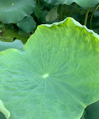 ���۸��᡿��ȾƵ�Ů������ô��