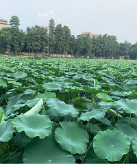 ���۸��᡿��ȾƵ�Ů������ô��