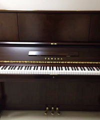 �������а�Ǩ��30̨YAMAHA���ٴ���