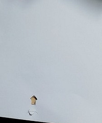 ���ö��ӵĶ�������ȷ����ֻ���