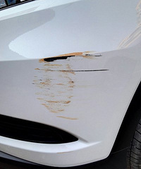 ������·�����쳵�͹β�������һʱ��ȥ����