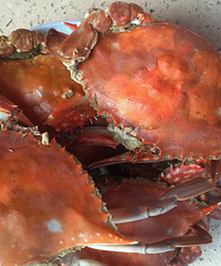 ���۸��᡿����ȥ���г�ϲ�����з������С�����������з