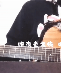 �Ե��Գ�������ĸ� ʲôˮƽ