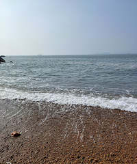 ��������̵�������̲������