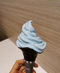 ����������ذ���Ա���call