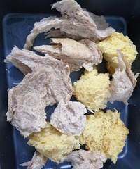 ʣ��������˳Է�����Ҫ��������