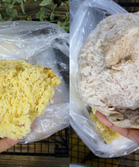 ʣ��������˳Է�����Ҫ��������