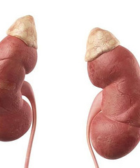 ����Ů��3������20�������������ĺ��£�������˵ȴ��ج��