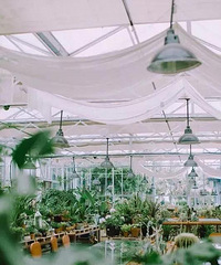 �������һ���λõĻ������