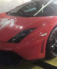 ��ɫ������Сţ��������Ŷ��