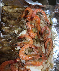 Ϻ���棬���ش��� Ӫ������