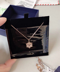 ʩ��������ѩ������������ȹ��ʲô�Ķ���Ư��