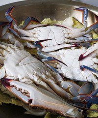 ��������з����ĺܺóԣ�����ģ��ر�����